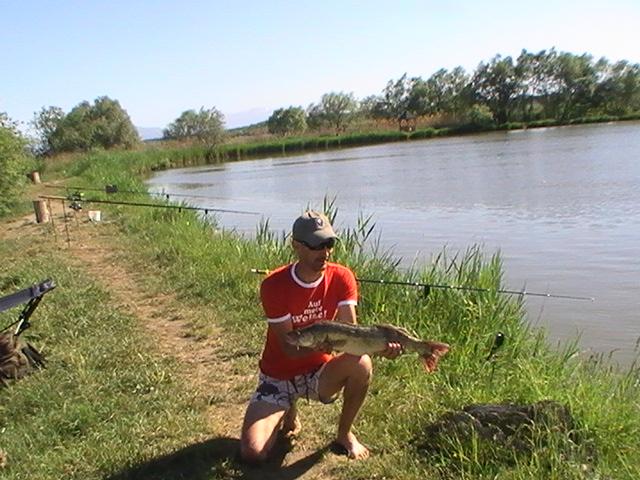 la rapitor - pic0755.JPG